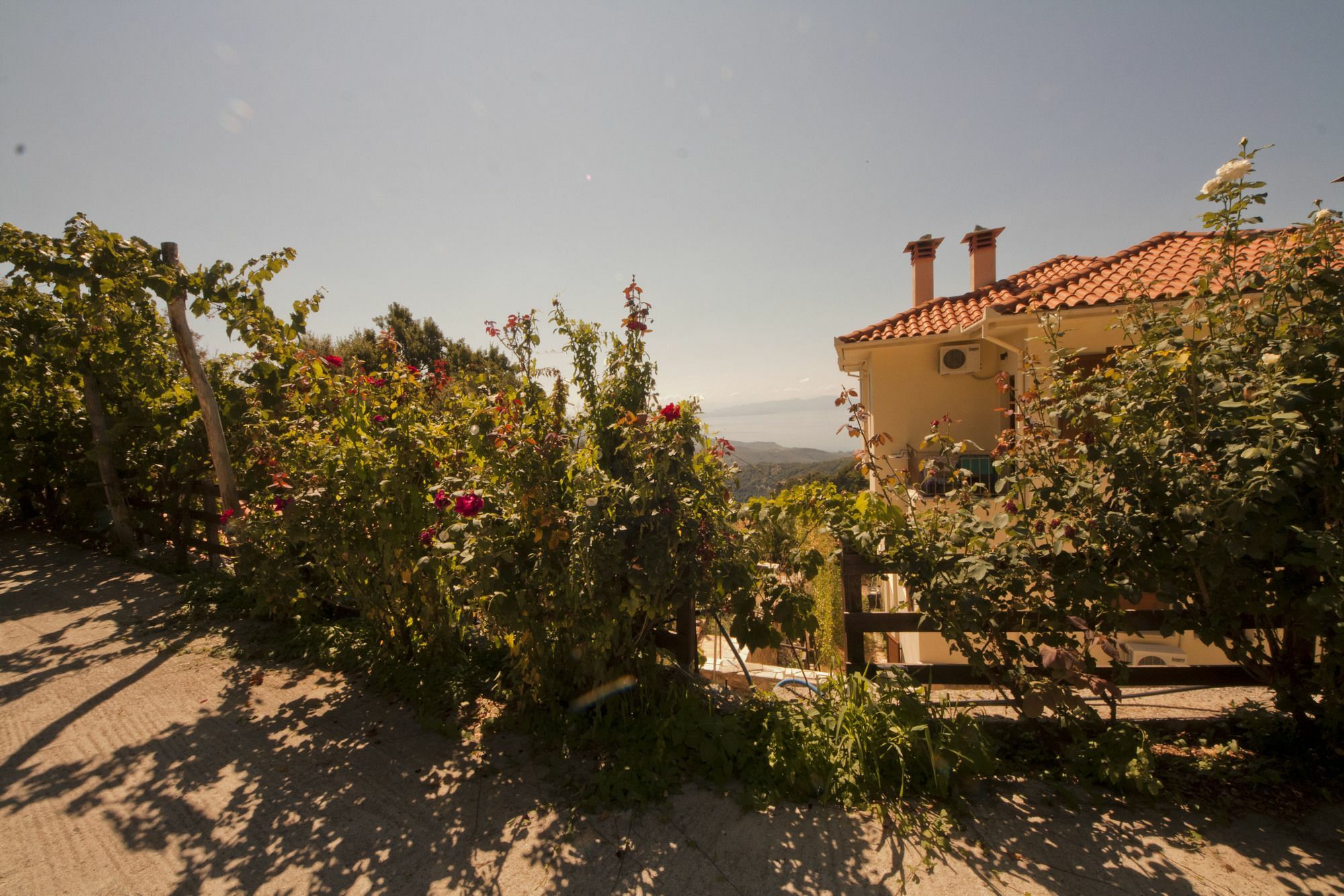 Rastoni Pelion Vyzítsa Exterior foto